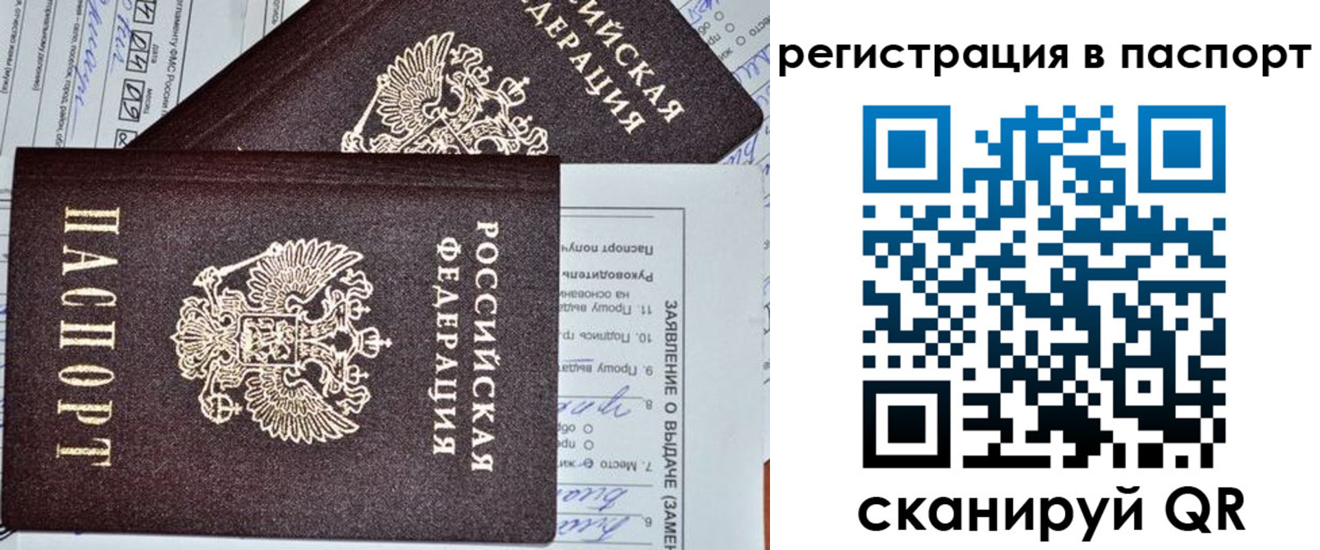 прописка законно в Анапе